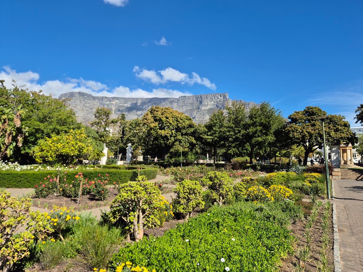 A public garden in central Cape Town with Table Mountain behind